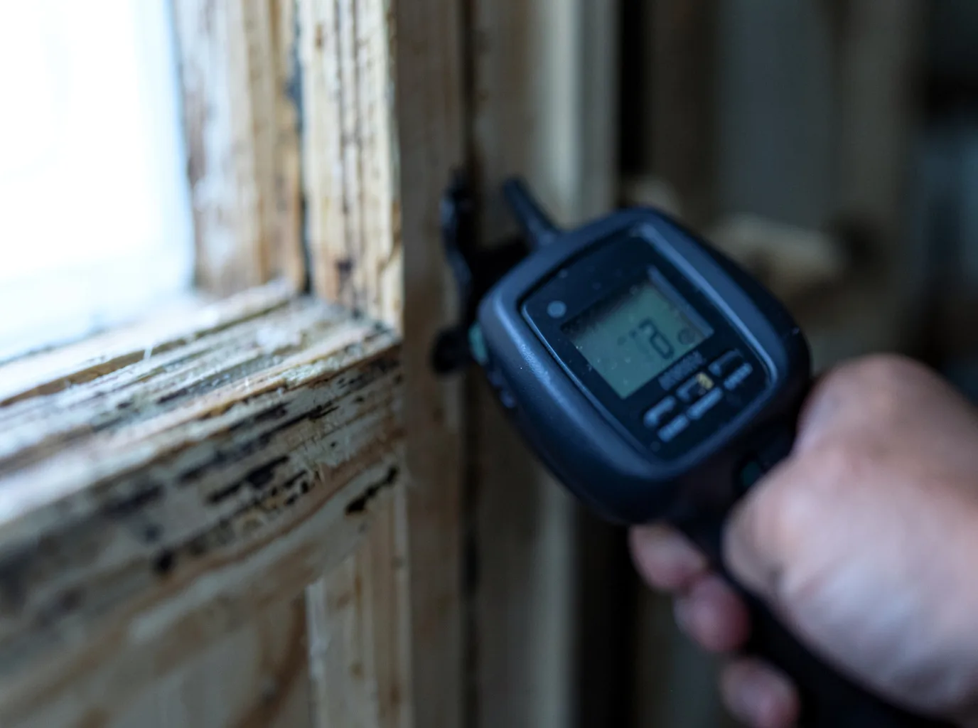 Moisture Inspection And Documentation in Ventnor City, NJ